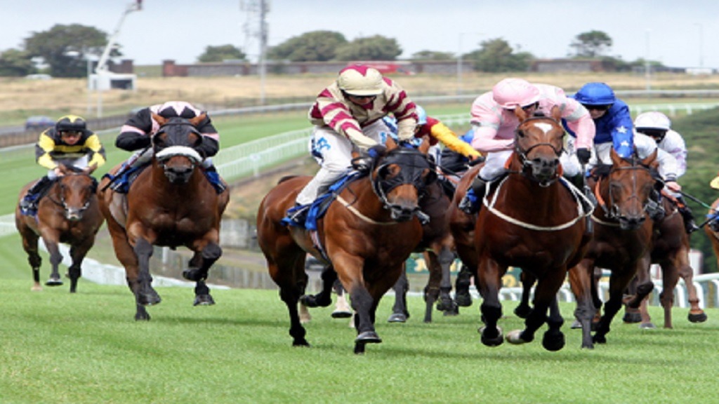 equestrian races