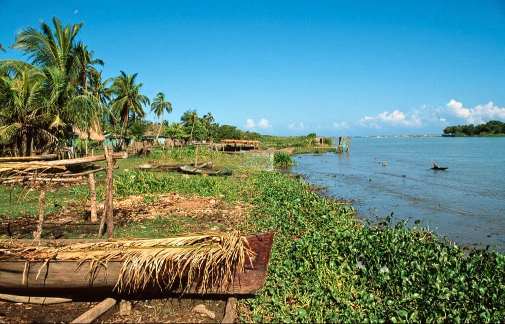 Garifunas of Honduras