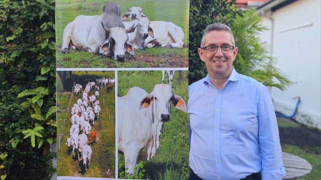 Brahman