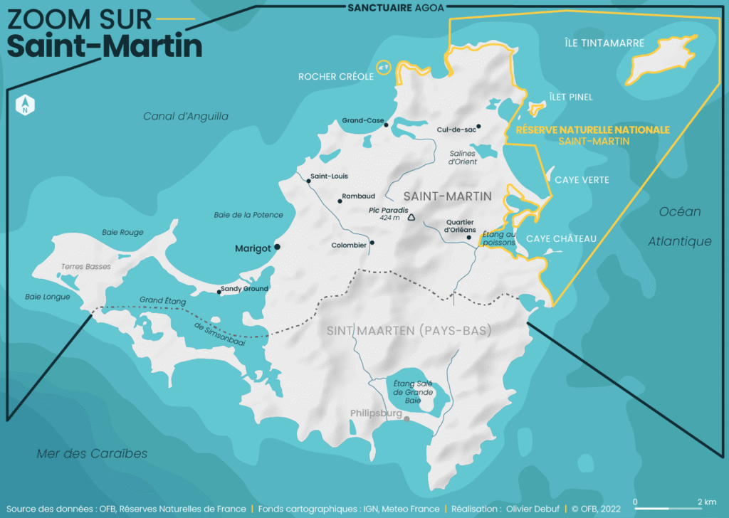écosystèmes marins