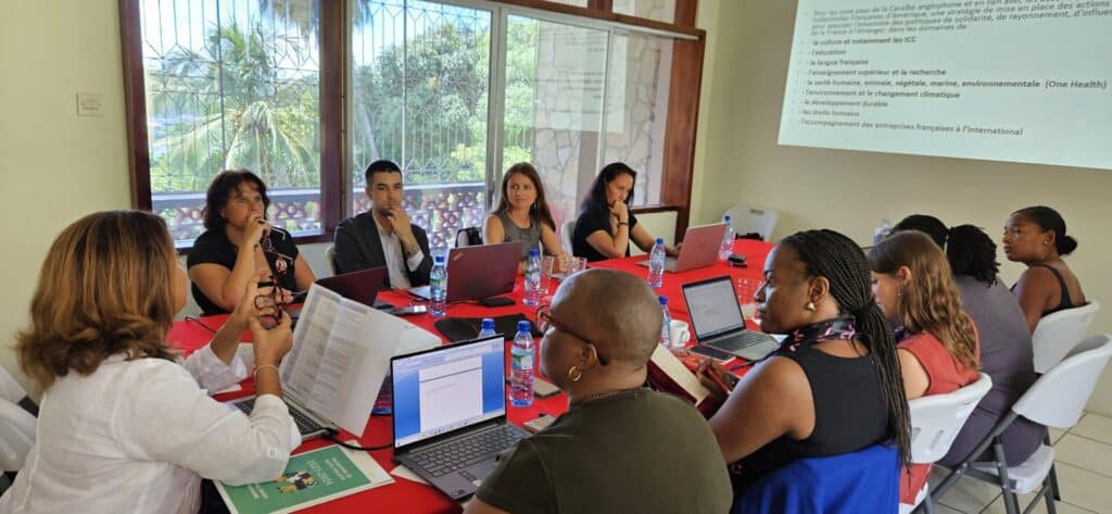 Alliances Françaises