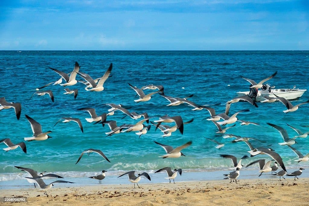 Providenciales