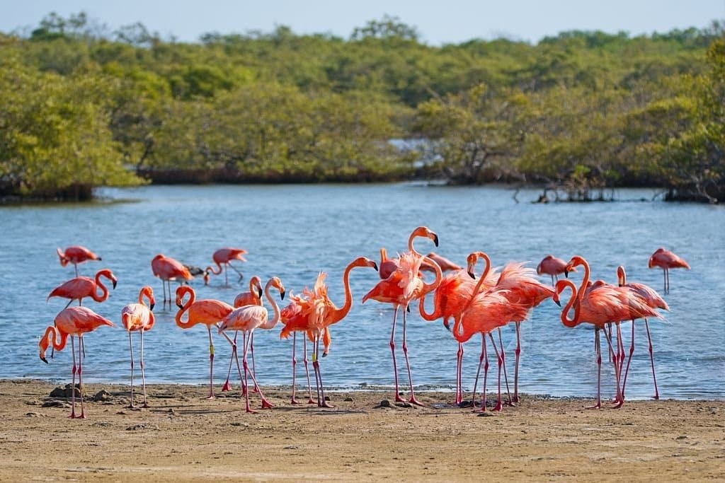 Bonaire