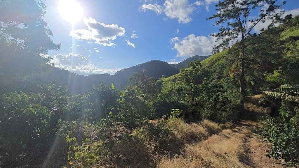Journée de la Terre
