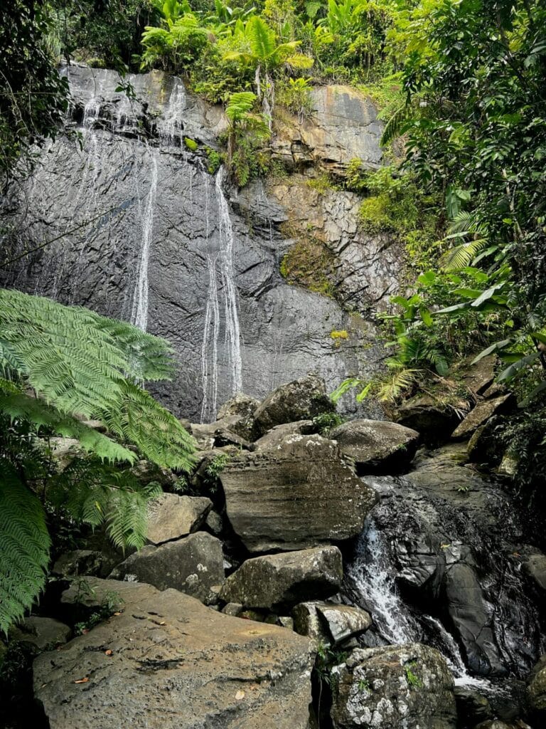 El Yunque