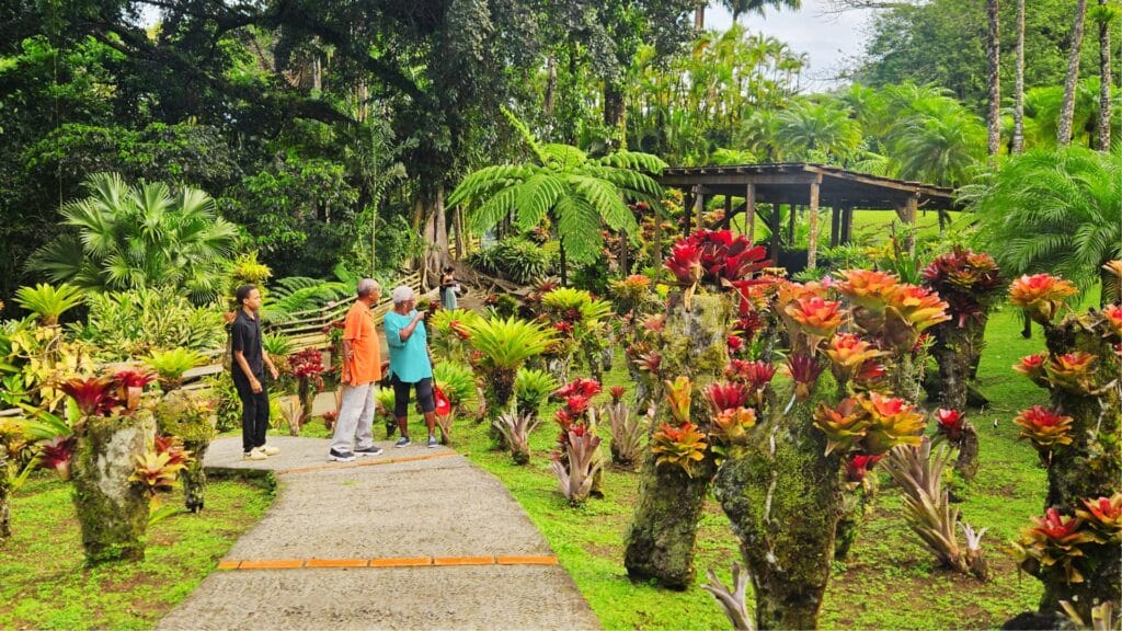 Jardin de Balata
