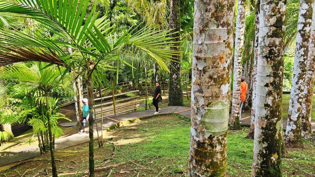 Jardin de Balata
