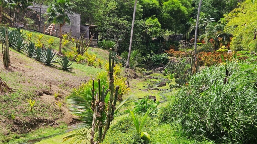 Anse Latouche