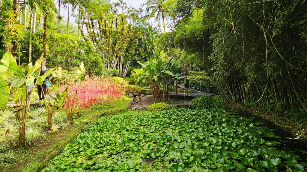 Jardin de Balata