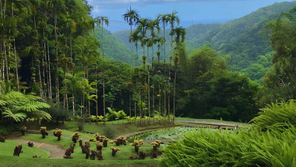 Jardin de Balata