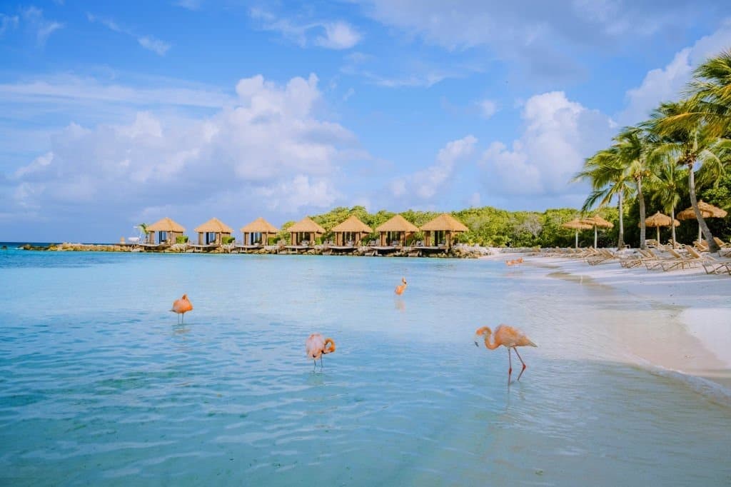 Anegada : 28 pieds de haut, 18 miles de récifs