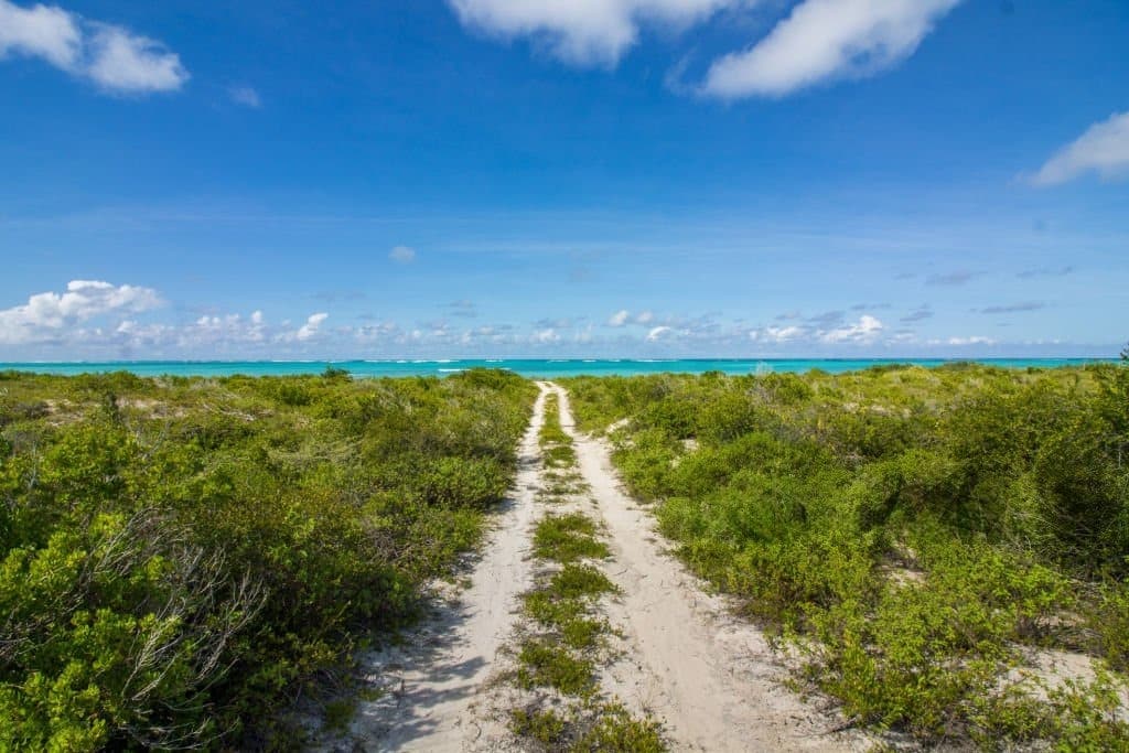 Anegada