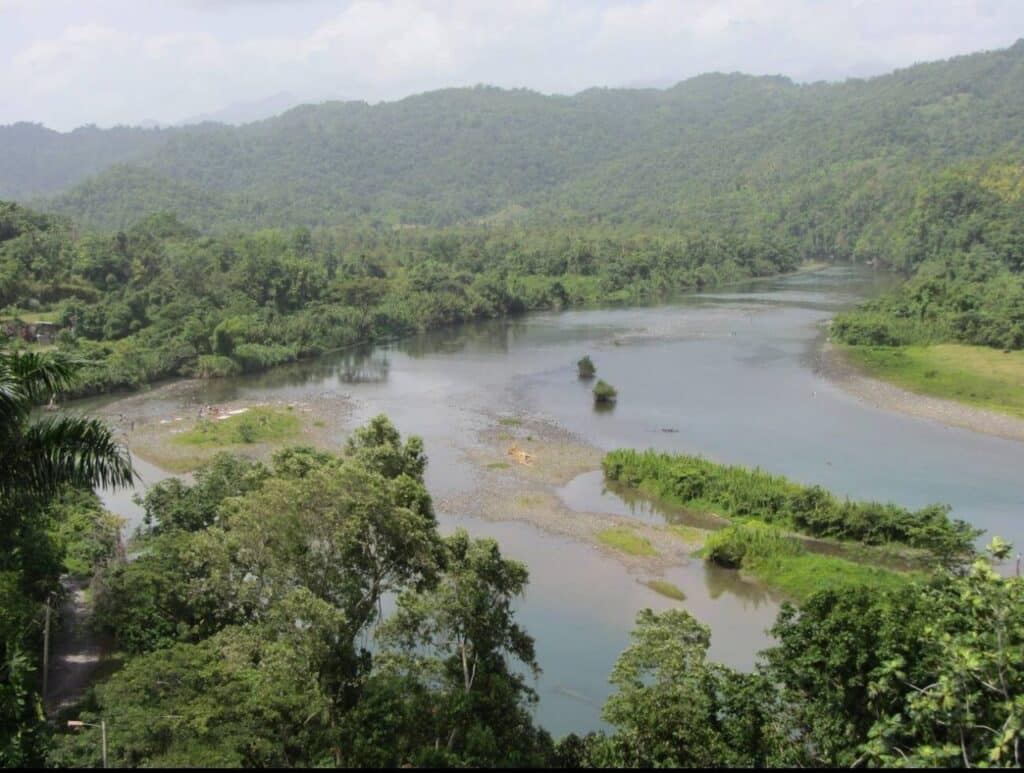 Rivière sinueuse dans une vallée forestière entourée de collines vertes